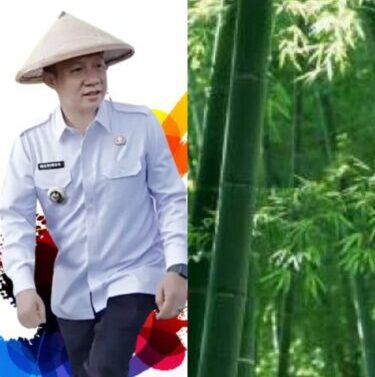 PJ Bupati Marindo Ajak Warga Pringsewu Tanam Bambu